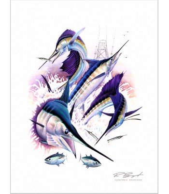 "Fiesta" - Tournament Art Costa Rica